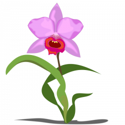 Plant Clipart at GetDrawings.com | Free for personal use Plant ...