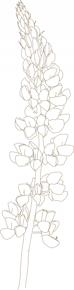 Wildflowers Art Nouveau Custom Ketubah — Ketubah-Arts
