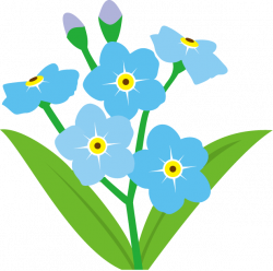 ForgetMeNot: Flowers - Forget me nots