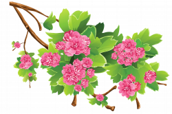 Spring Branch Transparent PNG Clipart Picture | get this :) | Pinterest
