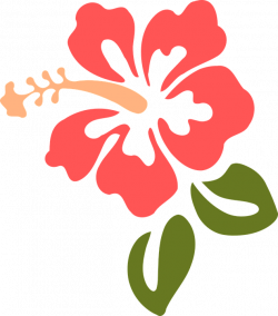 Cartoon Hibiscus Flower#4428301 - Shop of Clipart Library