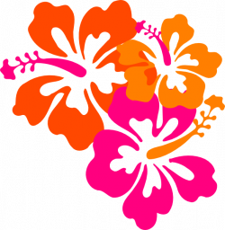 Hibiscus clipart animated - Pencil and in color hibiscus clipart ...