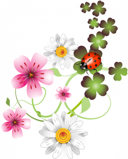 fleurs,flores,flowers,bloemen,png | Art~Flower Power | Pinterest ...