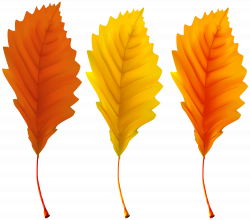 Autumn Leaves PNG Clip Art Image | Gallery Yopriceville - High ...
