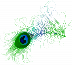 Peacock Feather PNG Clip Art Image | Gallery Yopriceville - High ...