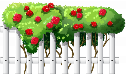 White Fence with Roses PNG Clipart - Best WEB Clipart