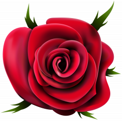 Transparent Rose PNG Clip Art | Gallery Yopriceville - High-Quality ...