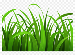 Ground Clipart Grass Flower - Grass Clipart, HD Png Download ...