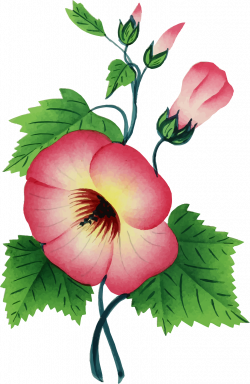 Clipart - Flower Illustration 3