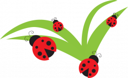 bug-clipart-ladybug-lady-bug-clip-art-bug-flower-leaf-branch-clipart ...