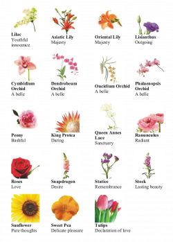 language of flower: different types of flowers | embroidery flowers ...