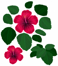 Flower and Leaves for Decorations Transparent Clipart | Gallery ...