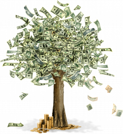 Money Tree transparent PNG - StickPNG