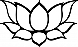 Lotus Flower Symbol Images - Flower Wallpaper HD