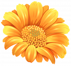 Orange Flower PNG Clipart Image | Gallery Yopriceville - High ...