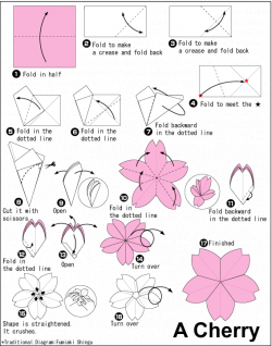 Origami Cherry blossom | Origami Flowers | Pinterest | Cherry ...