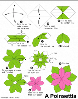 Image detail for -poinsettia origami,origami poinsettia instructions ...