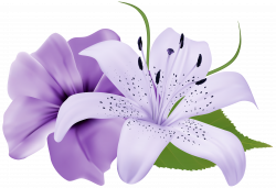 Purple Two Exotic Flowers PNG Clipart Image | Gallery Yopriceville ...