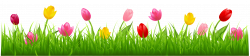 Grass with Colorful Tulips PNG Clipart | Gallery Yopriceville ...