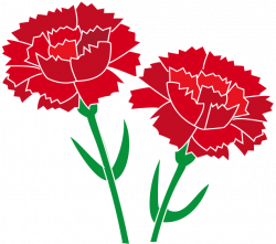 Carnation Flower Clipart (51+)