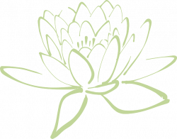 Free Image on Pixabay - Lotus Blossom, Lotus, Flower | Pinterest ...