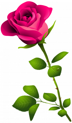 Pink Rose with Stem PNG Clipart Image | Gallery Yopriceville - High ...