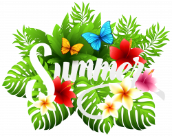 Summer Decorative Image PNG Clipart | Gallery Yopriceville - High ...