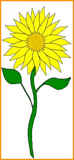 Stunning Flower Clipart Pict For Sunflower Frame Styles And Clip Art ...