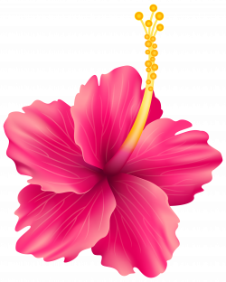 Pink Exotic Flower PNG Transparent Clip Art Image | Gallery ...