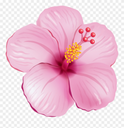 Tropical Flower Clipart - Tropical Pink Flower Png ...
