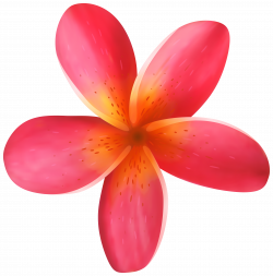 Tropical Flower PNG Clip Art Image | Gallery Yopriceville - High ...