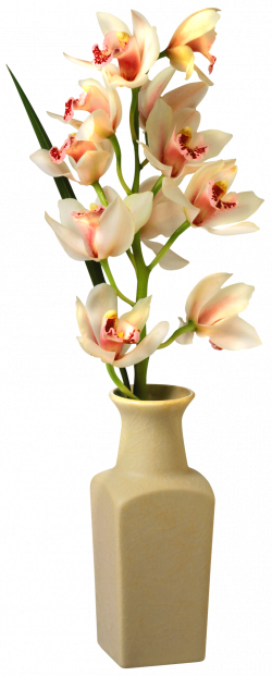 Orchid in Vase PNG Clip Art Image | Gallery Yopriceville - High ...