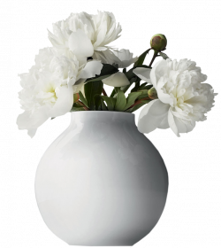 White Flower Vase Pictures - 1534 - TransparentPNG