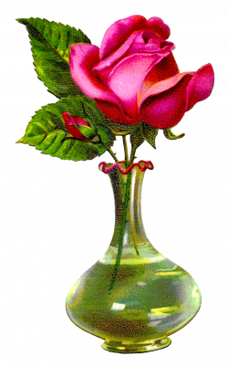 Antique Images: Pink Rose Flower Glass Vase Shabby Chic Floral ...