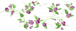 28+ Collection of Purple Flower Vine Clipart | High quality, free ...