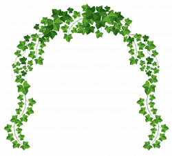 Vine Arch PNG Clipart Picture | Gallery Yopriceville - High-Quality ...