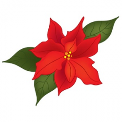 Free Christmas Flowers Cliparts, Download Free Clip Art ...