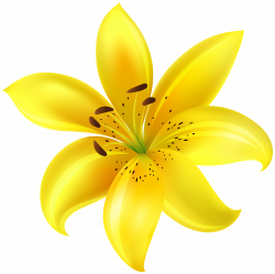 Yellow Flower Clip Art Image | Gallery Yopriceville - High-Quality ...