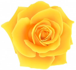 Yellow Rose PNG Clip Art Image | Graphics | Pinterest | Art images ...