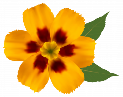 Yellow Flower PNG Clipart Image | Gallery Yopriceville - High ...