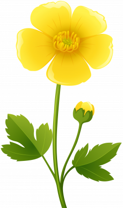 Yellow Flower Transparent PNG Clip Art Image | Gallery Yopriceville ...