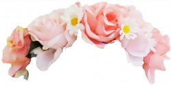 pastel aesthetic flowercrown
