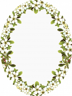 Vintage Frame Clip Art | digital vintage flower frames with apple ...