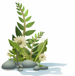 plants pebbles and flowers Icons PNG - Free PNG and Icons Downloads
