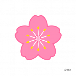 Flower symbol of the cherry tree｜Pictures of clipart and graphic ...