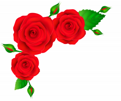 Red Roses Corner Transparent PNG Clip Art Image | Flowery ...