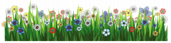 28+ Collection of Grass With Flower Clipart Png | High quality, free ...