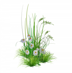 Garden Flowers Png | Free Images at Clker.com - vector clip art ...