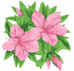 Pink Flowers PNG Clip-Art Image | ดอกไม้ | Pinterest | Art images ...
