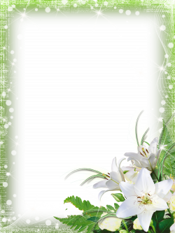 Green-PNG Photo Frame with Flowers | Photos & frames | Pinterest ...